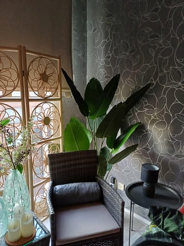 Customer photo review of Strelitzia Kunstplant 160cm