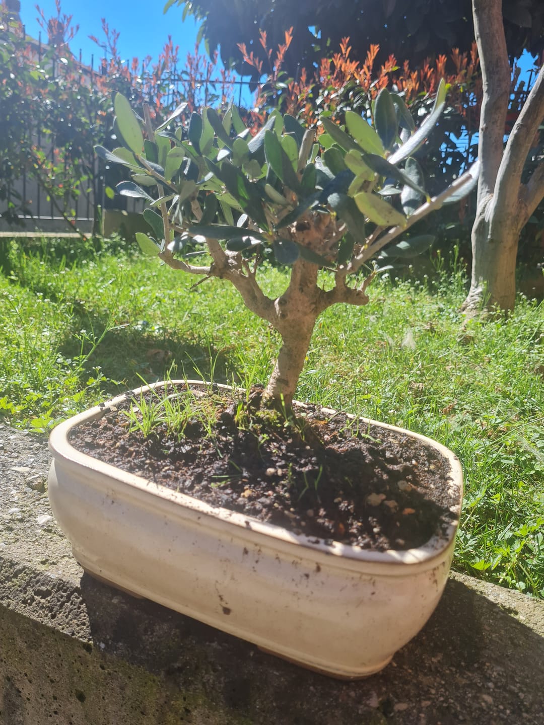 Customer photo review of PROTOCOLLO NUCLEARE CB®