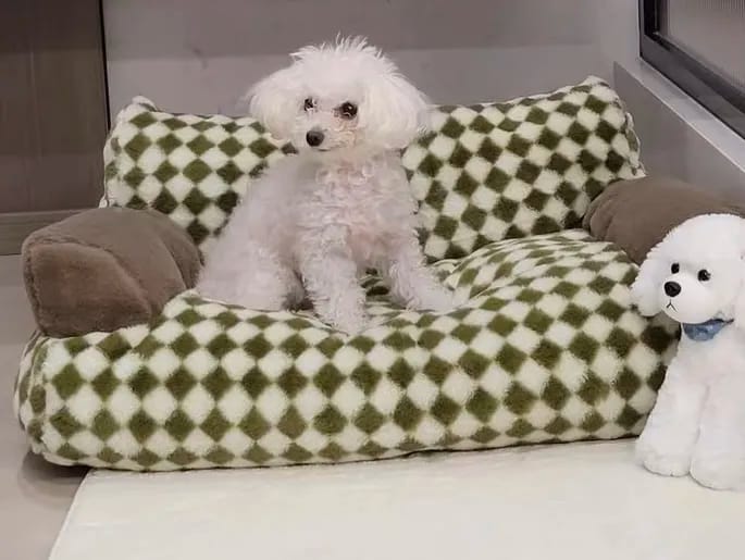Customer photo review of Vintage Sofa Bed