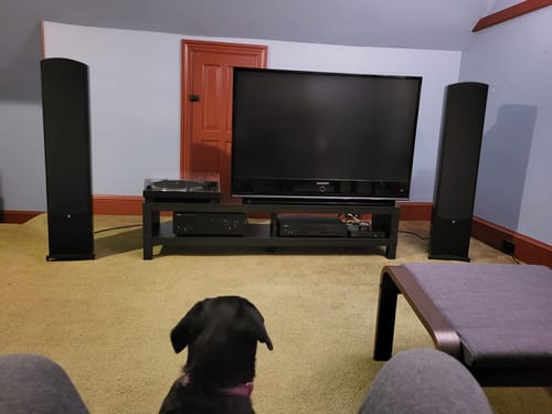 Customer photo review of Verus V8T 3-Way Dual 8" Tower/Floorstanding Speaker