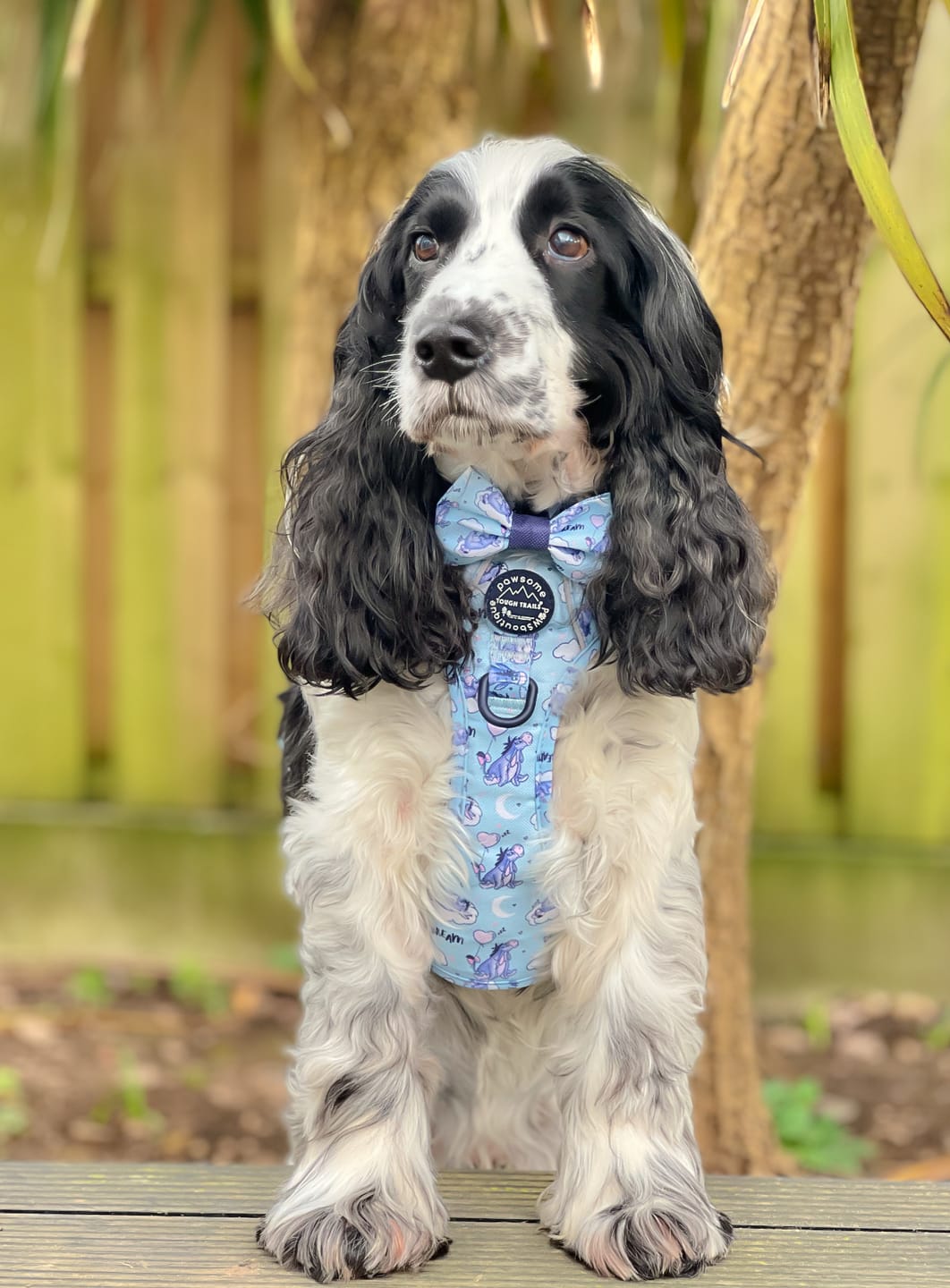 Customer photo review of Tough Trails™ Harness - Eeyore