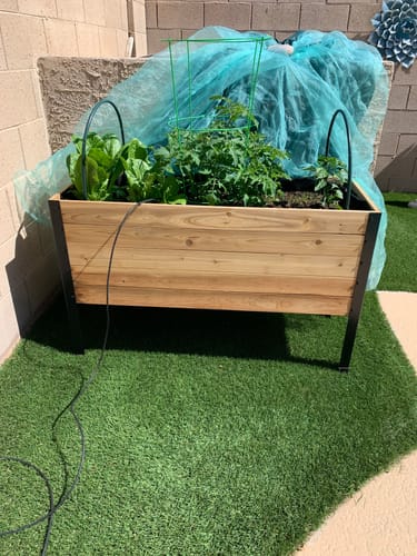 Customer photo review of 18" x 48" Raised Garden Bed