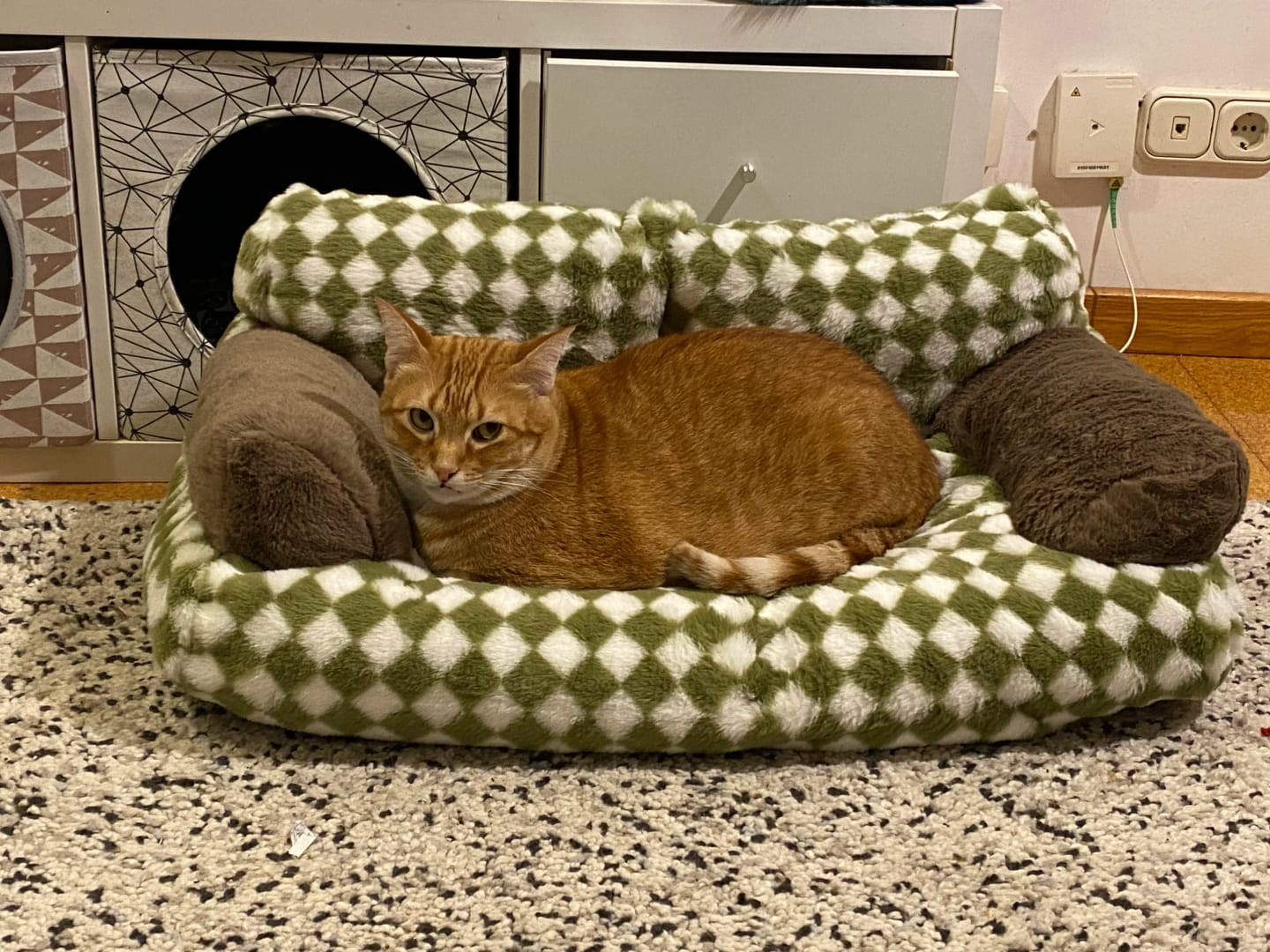 Customer photo review of Vintage Sofa Bed
