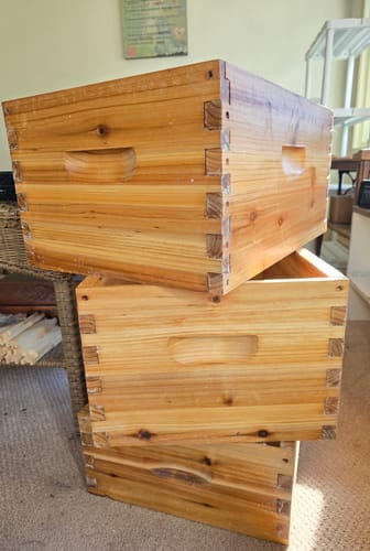 Customer photo review of BeeCastle Logo Free 8 Frame Beeswax Coated Unassembled Beehive:2 Deep Cedar Wood Bee Boxes, 1 Medium Cedar Wood Bee Box for Superior Beekeeping.