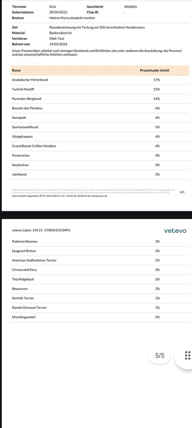 Customer photo review of DNA Test Rassebestimmung Basic Hund