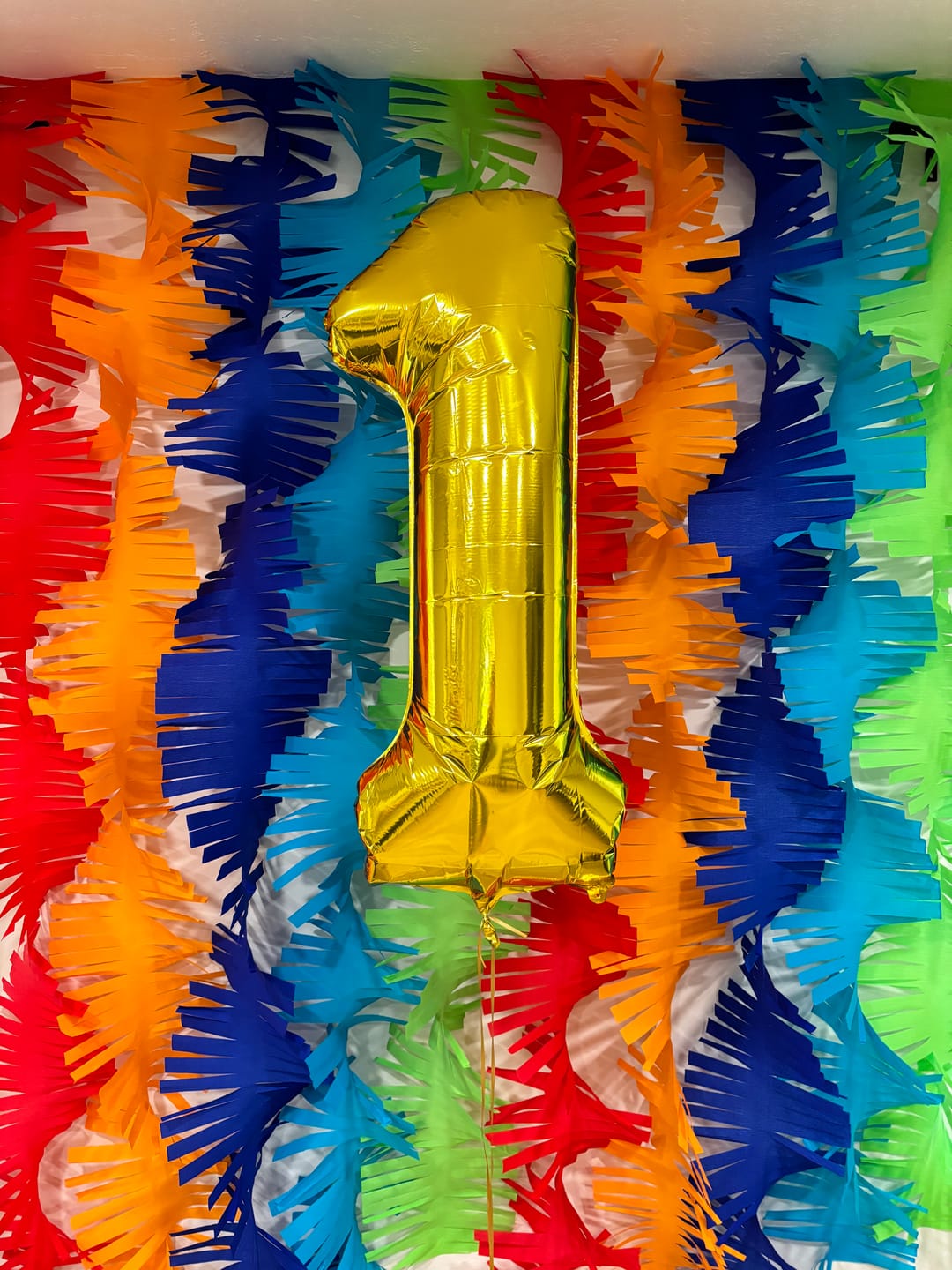 Customer photo review of Crepe Paper Fringe Streamers