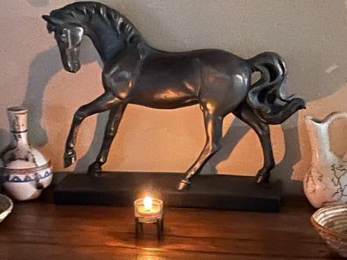 Customer photo review of Nag Champa, Soy Tea Light 12-Pack