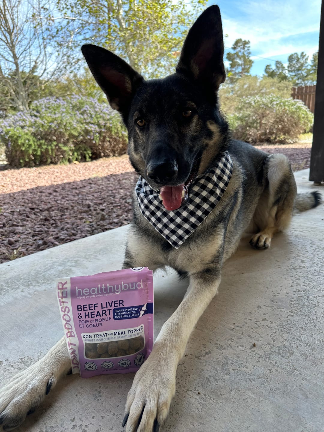 Customer photo review of Beef Joint Booster