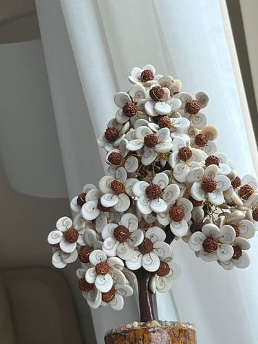 Customer photo review of Gomati Chakra Tree with Rudraksham