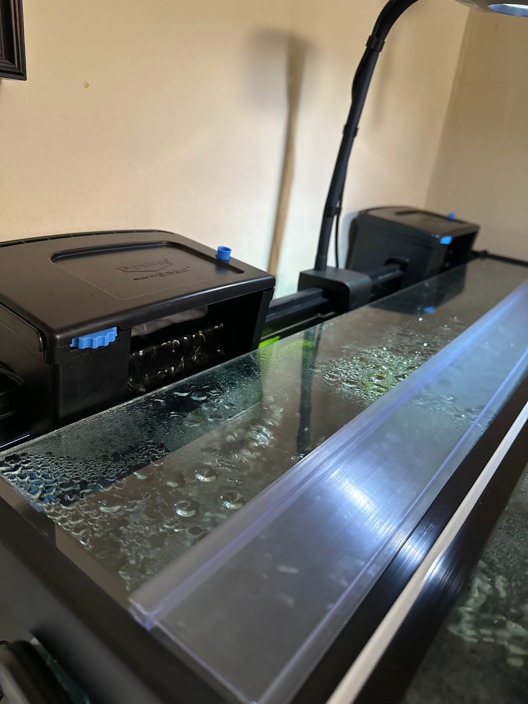 Customer photo review of Tidal Power Filters From Seachem/Sicce