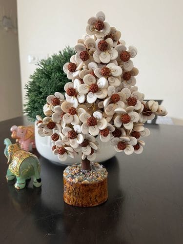 Customer photo review of Gomati Chakra Tree with Rudraksham