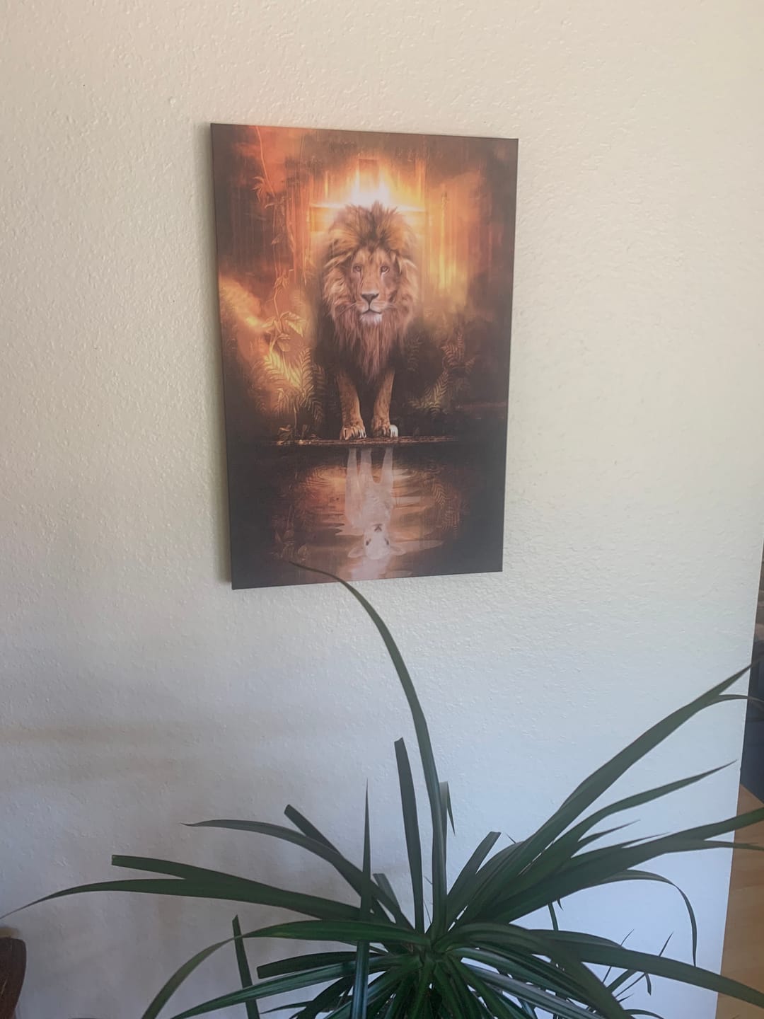 Customer photo review of Lion and Lamb Canvas Wall Art, Lion and Lamb Picture