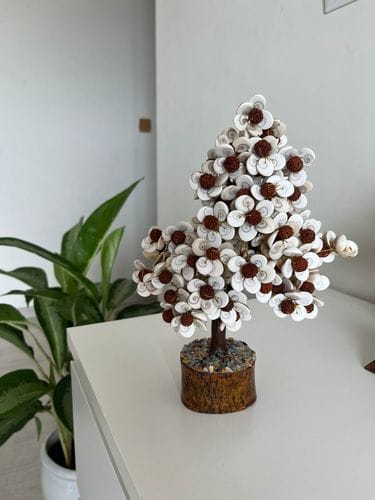 Customer photo review of Gomati Chakra Tree with Rudraksham