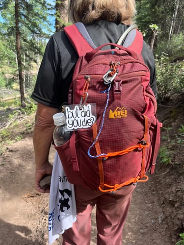 Customer photo review of But Did You Die? Sarcasm Sticker