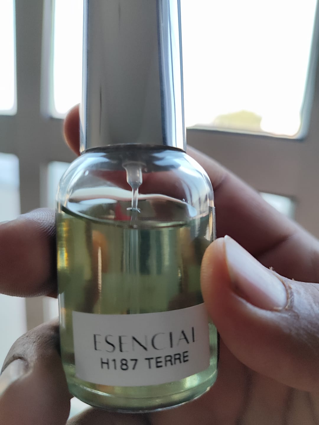 Customer photo review of H187 Inspirado en: Terre - Hermes