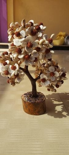 Customer photo review of Gomati Chakra Tree with Rudraksham