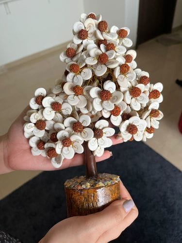 Customer photo review of Gomati Chakra Tree with Rudraksham