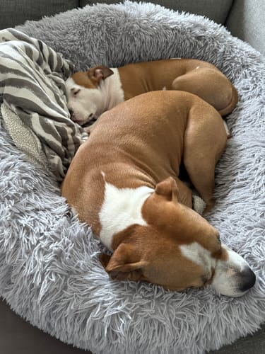 Customer photo review of CalmBed - Motverkar stress & hjälper mot ångest