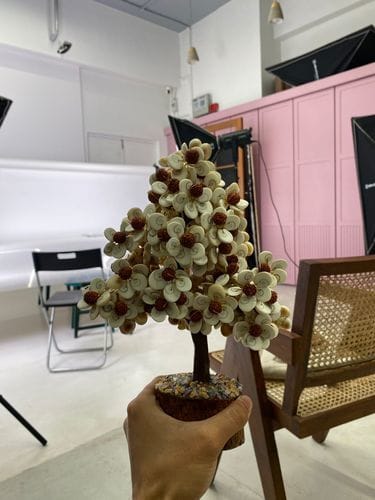 Customer photo review of Gomati Chakra Tree with Rudraksham