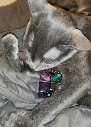Customer photo review of INFINITY Cube in Oil Slick 165grams - World Exclusive