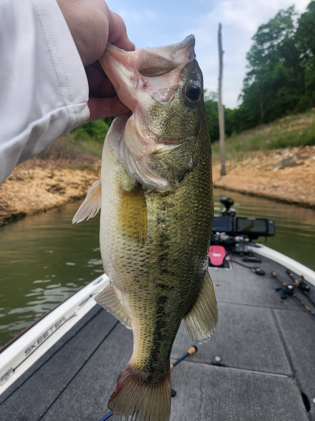 Customer photo review of 200% Sensitivity Tungsten Worm Weights | Bullet Weights | 2 Colors 10 Piece | Bulk Pack