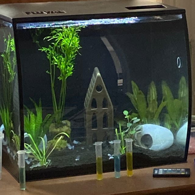 Customer photo review of Tall House Hideout Christmas Aquarium Decor to Swim-Through, Play, Rest