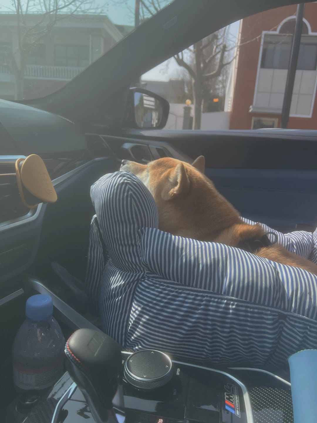 Customer photo review of Portable Car Bed