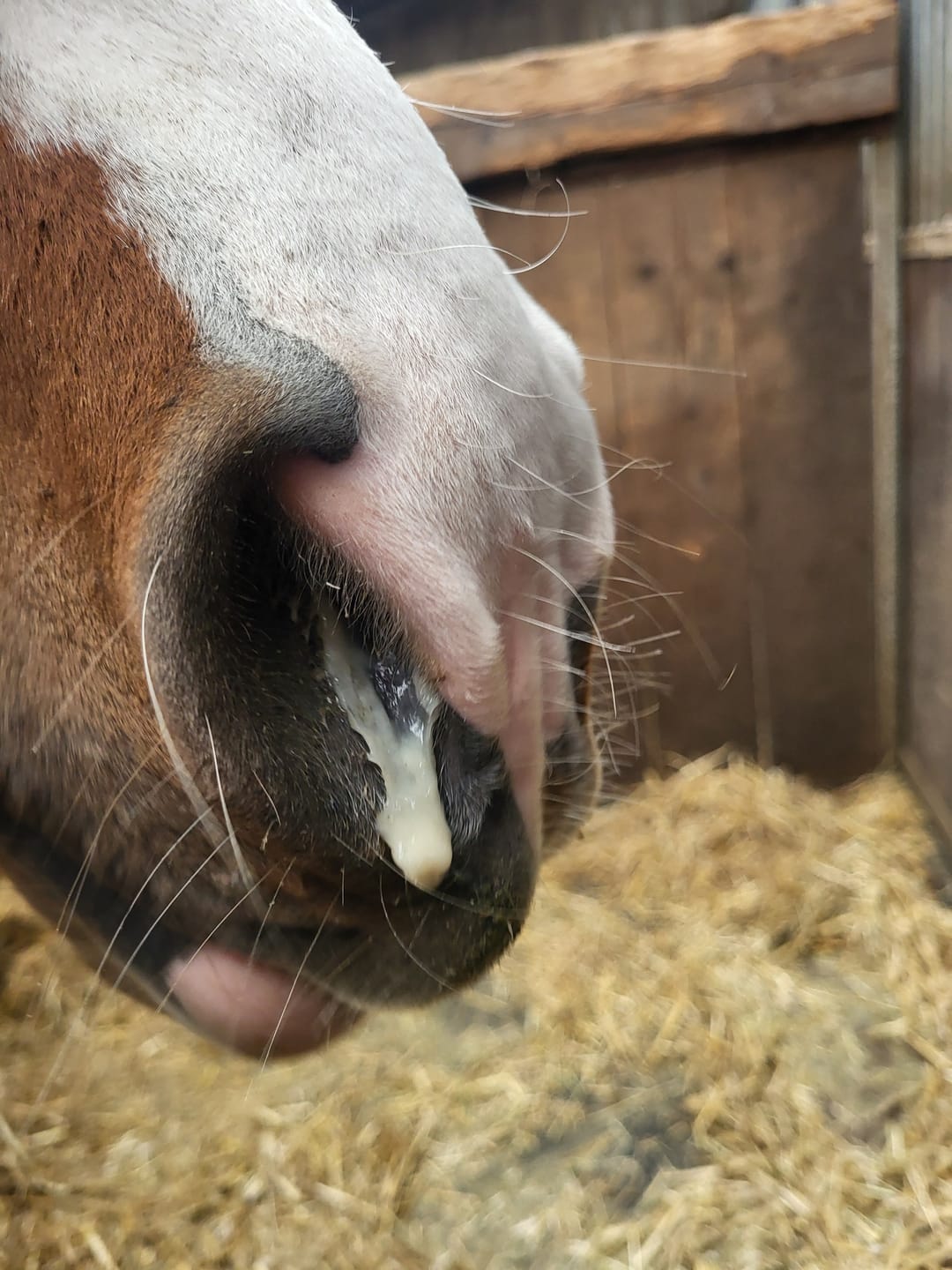Customer photo review of Kristallkraft Bronchiale