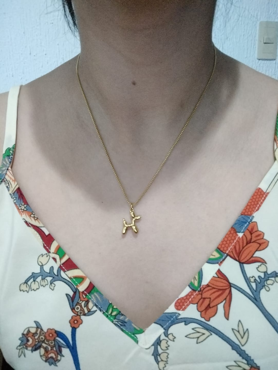 Customer photo review of Collar Doggy