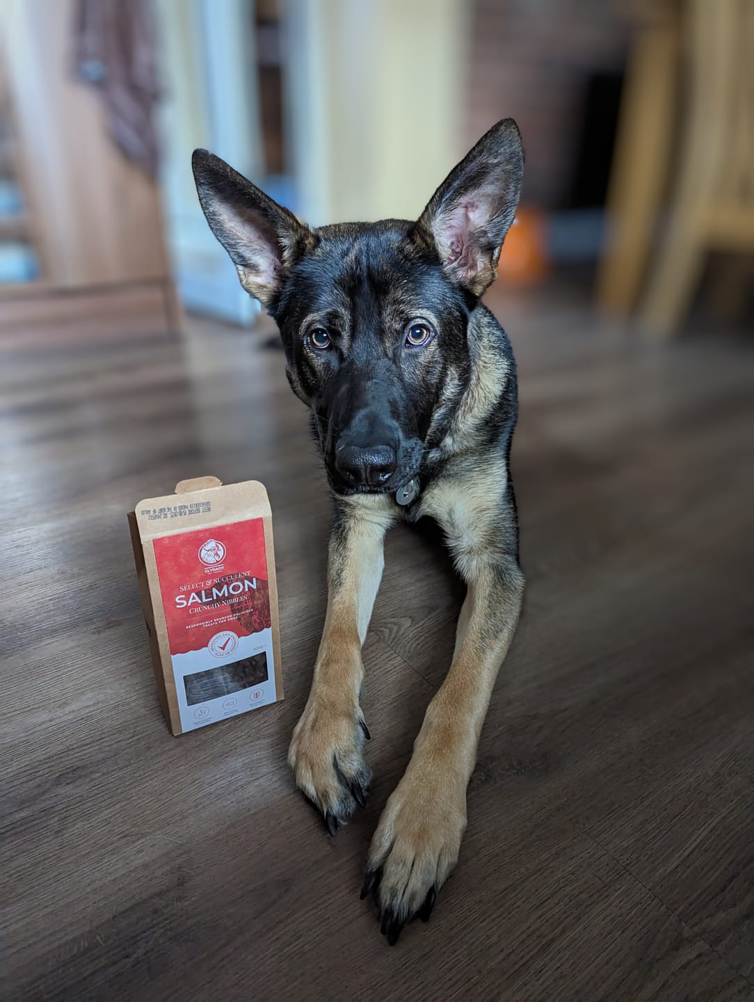 Customer photo review of Select Salmon - Dog Treats