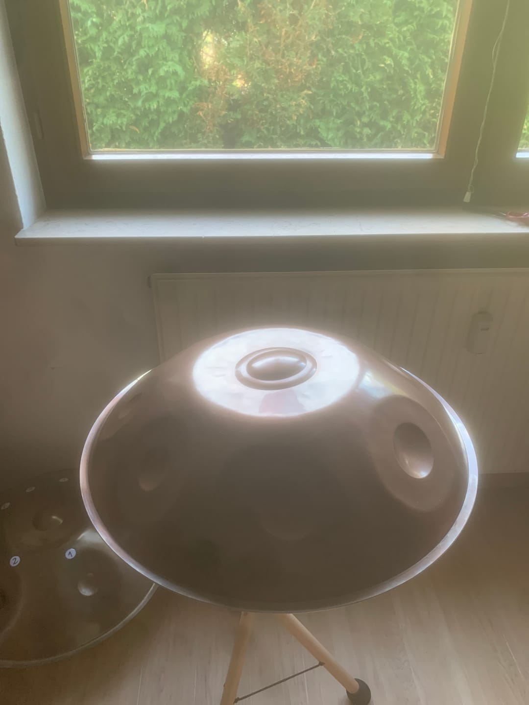 Customer photo review of Healing Frequency F2 Low Pygmy Edelstahl
