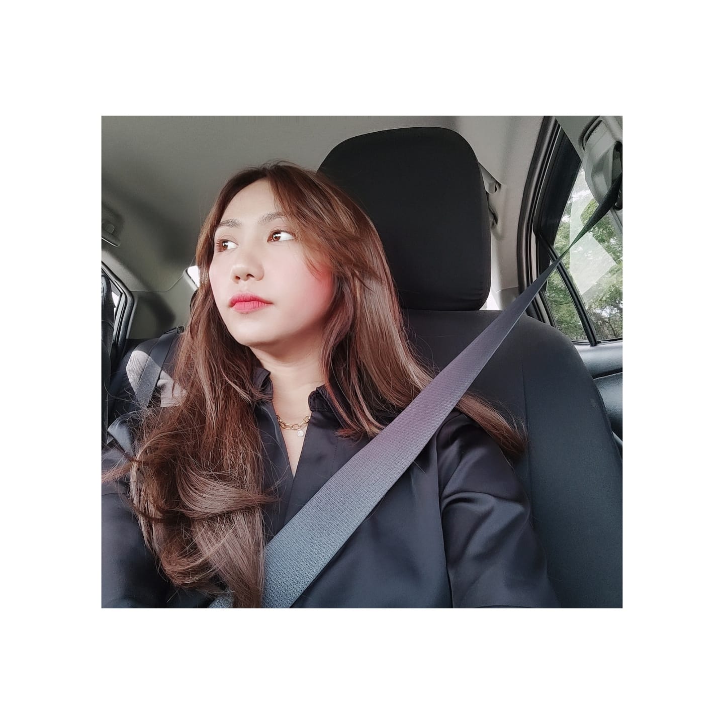 Customer photo review of 16" Blowout