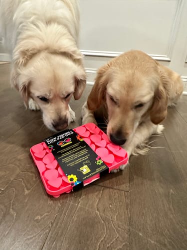 Customer photo review of Slow Feeder - Lick Pad Combo