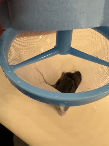 Customer photo review of Laundry Pet Hair Catcher