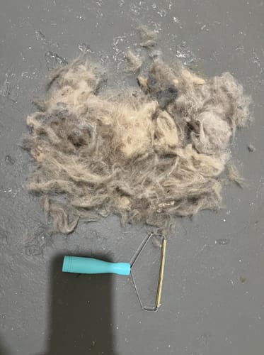 Customer photo review of Fur Rake 2.0™