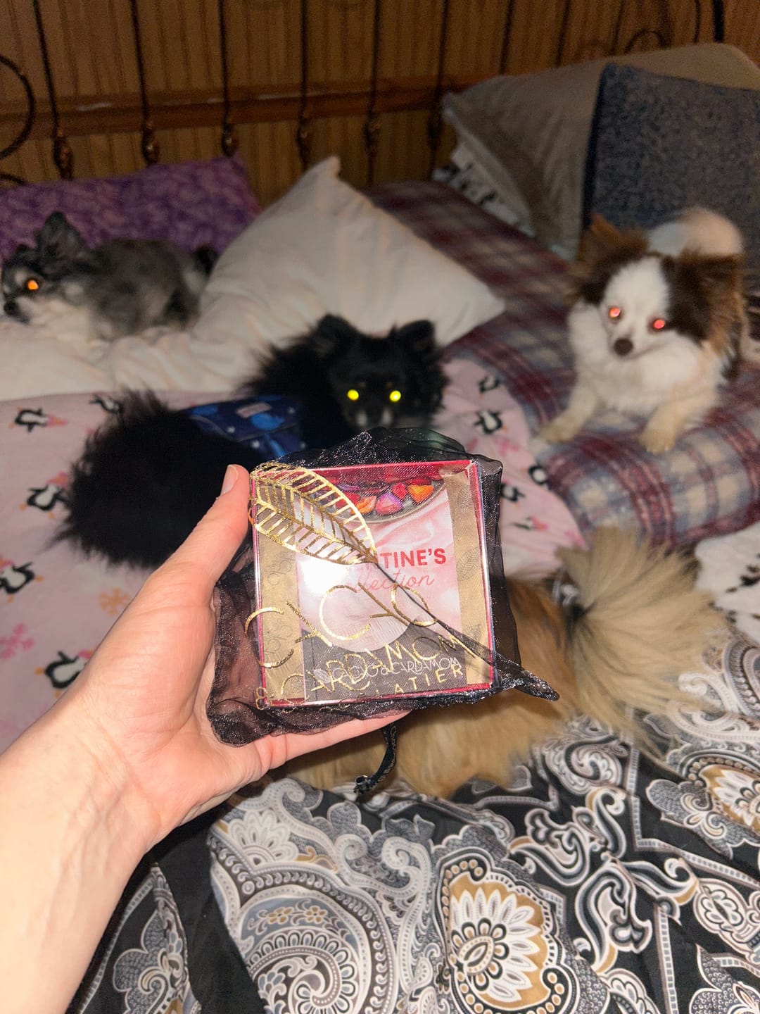 Customer photo review of The Perfect Selection