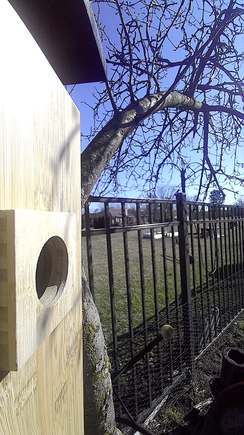 Customer photo review of Birdfy Solar Panel - Type C