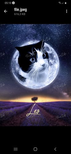 undefined review of Personalisiertes Portrait - Mond Stil image 1 out of 1