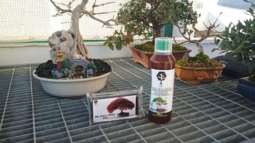 Customer photo review of BLOCK PRO 3.0 CB® MASTICE PROFESSIONALE PER BONSAI 400 gr