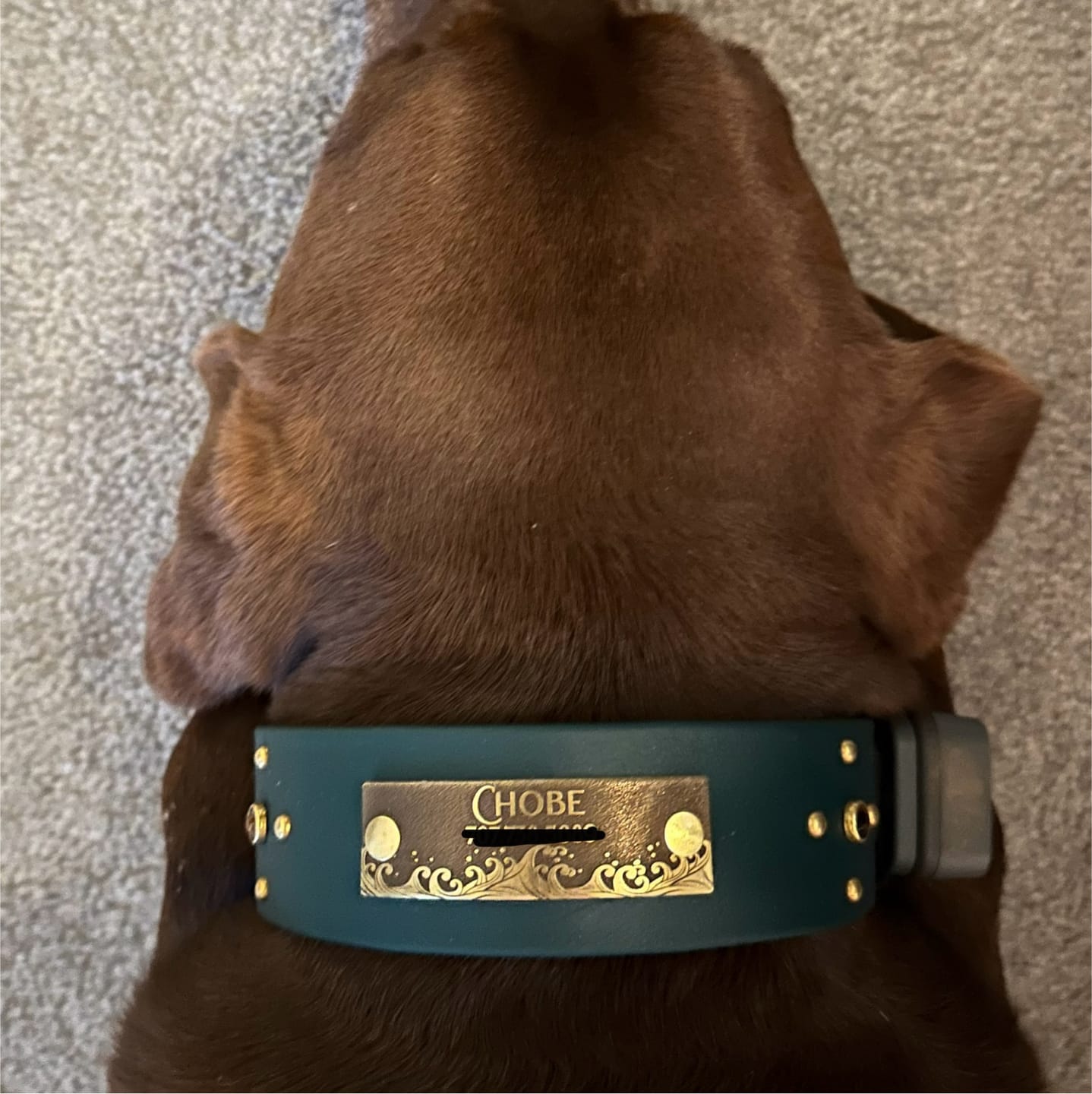 Customer photo review of Designer Rivet-On Tag