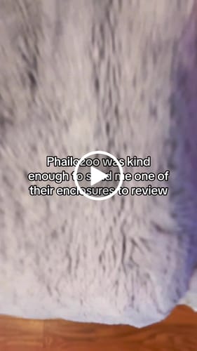 Customer video review of REPMAC-Reptile Habitats 50 Gallon 36x18x18_Royal Purple