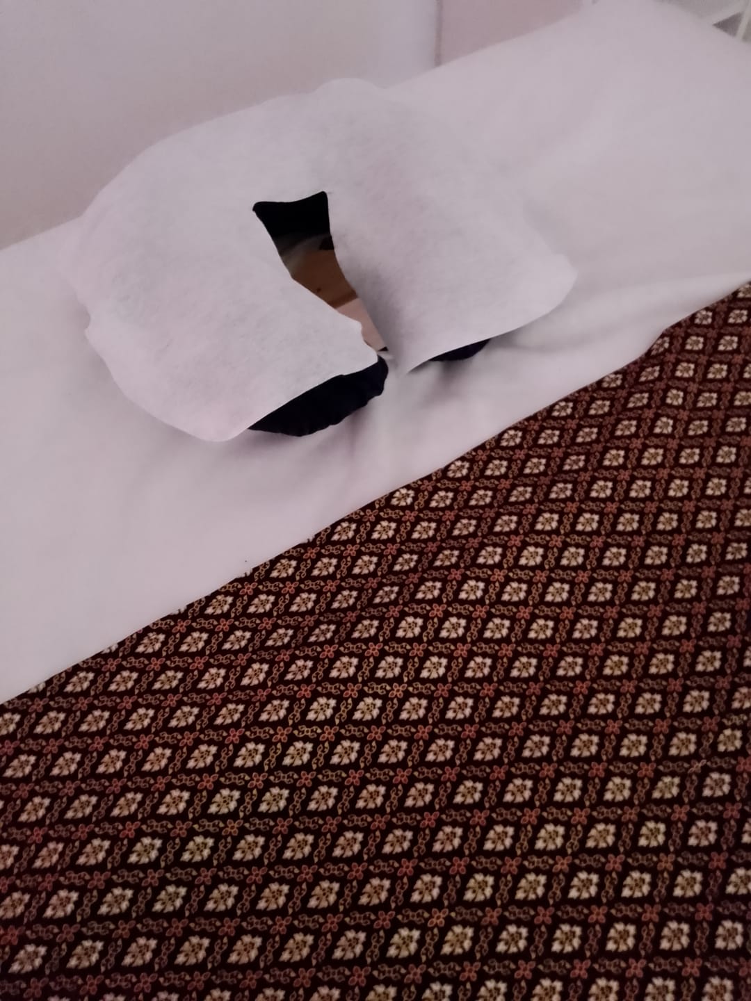 Customer photo review of Einwegauflage für die Kopfstütze der Massageliege 200 Stück