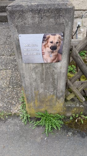 Customer photo review of Hunde-Türschild mit Foto & Wunschtext (UV- UND WETTERFEST)