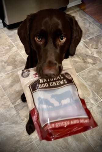 Customer photo review of 5-6 Inch Standard Collagen Wrapped in Bully Stick