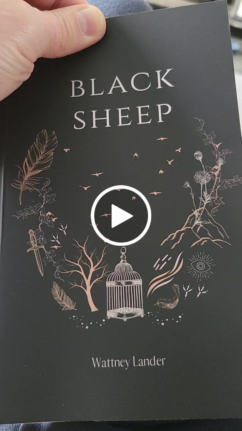 Customer video review of Black Sheep