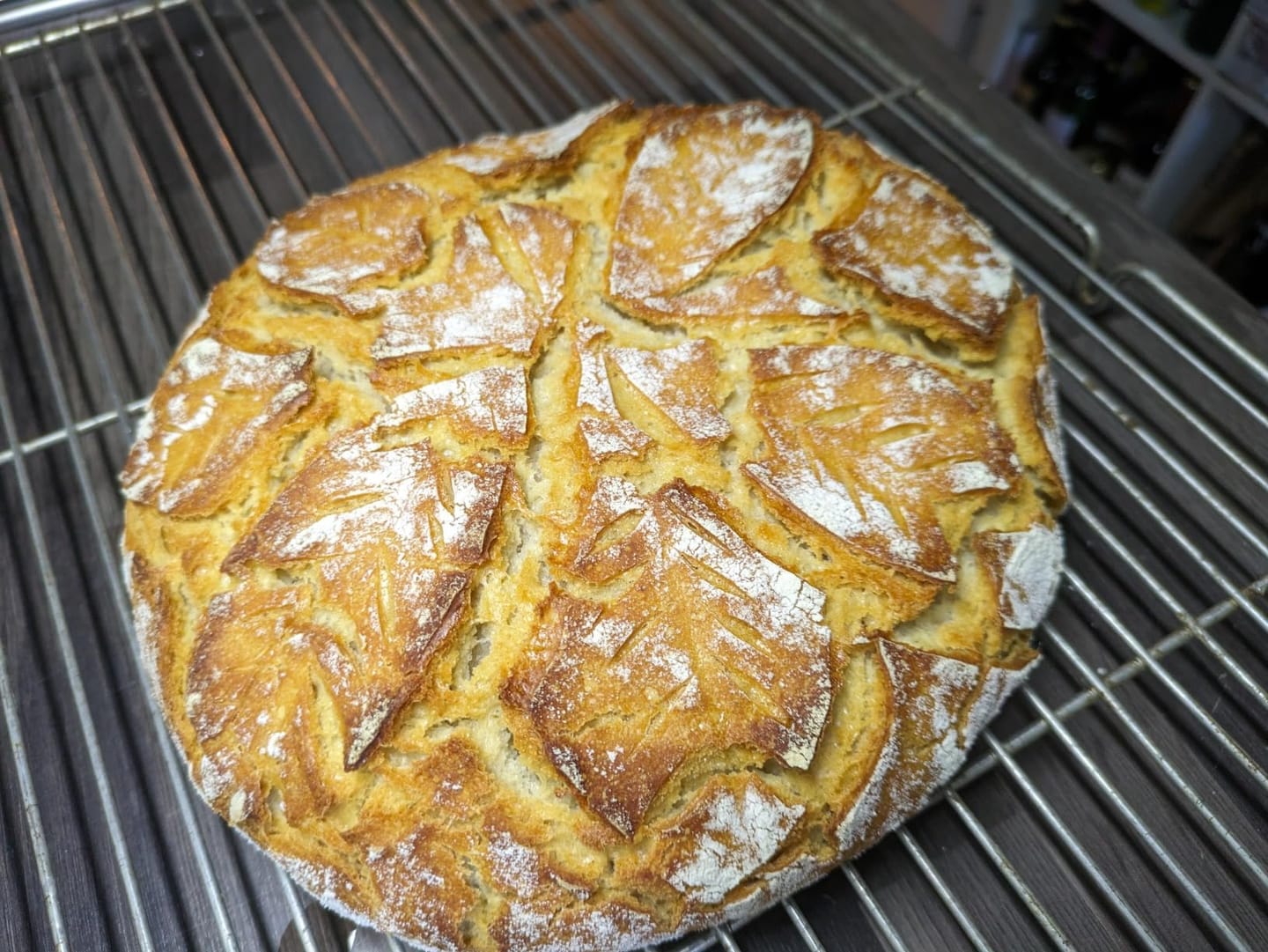 Customer photo review of BIO Backfreude Sauerteig-Kit: Anstellgut & Knusperrezepte