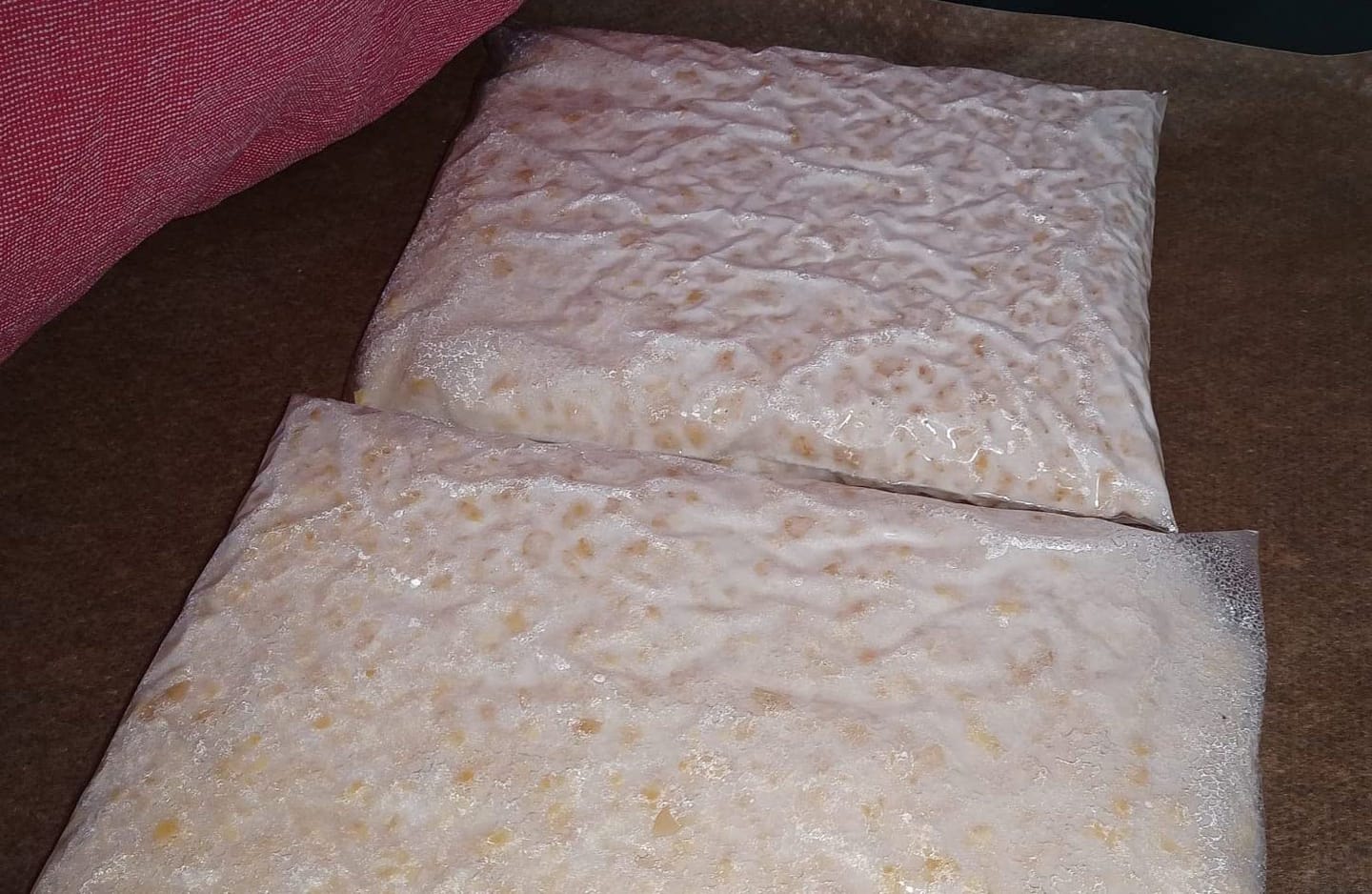 Customer photo review of BIO Tempeh-Revolution: Starter-Kultur für Heimfermentation