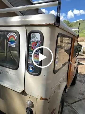 Customer video review of Fish Bones & Tree Sticker