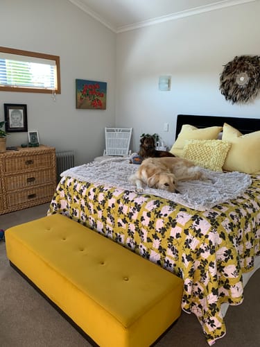 Customer photo review of Plush Velvet Fabric - 30 Colours