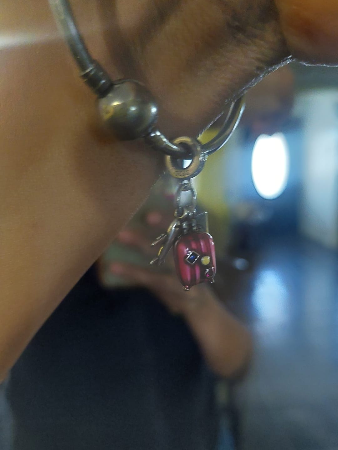 Customer photo review of Charm Viaje al Mundo